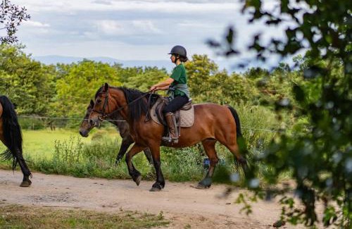 Loubeyrat Casa | Le Bosquet des Dômes - Panorama des Puys à Cheval