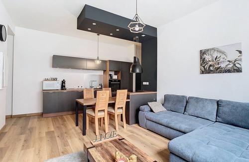 Voiron Apartamento | LE CÈDRE de JORI : 55m2, 2 bedrooms, downtown