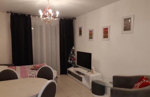 Neudorf Ouest Apartamento | Le Carré des fleurs