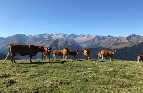 Montauban-de-Luchon Chalet De Esquí | Le Castanier