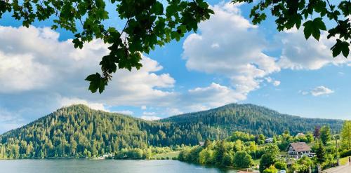 Gerardmer Hotel | Le Chalet au bord du lac
