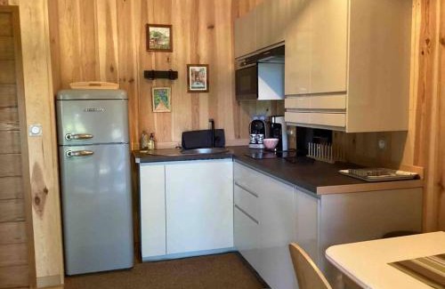 Saint-Julien-en-Born Chalet De Esquí | Le chalet Hosta