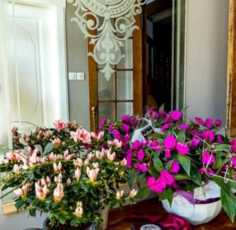 Flexbourg Cama Y Desayuno | Le Clos d'Azel MAISON D'HOTES