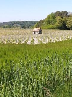 Saint-Georges-sur-Cher Cama Y Desayuno | Le Clos de la Chesneraie