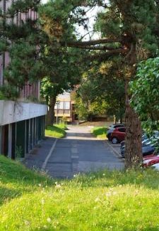 Survilliers Apartamento | Le Cocoon des Lierres - Séjour Zen près du Parc Astérix & CDG