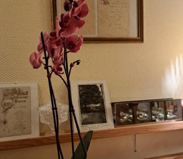 Meaulne-Vitray Hotel | Le coeur de meaulne