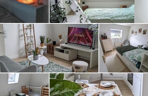 Croix Apartamento | Le cosy botanique