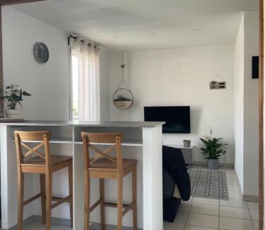 Castelnau-d'Estretefonds Apartamento | Le Cosy Wifi Clim Parking