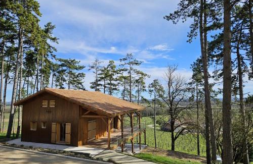 Bonneuil Chalet De Esquí | Le cottage des pins chalet sur les vignes