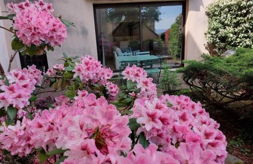 Rodez Apartamento | Le DenysPuech 55m2 plein centre avec jardin!
