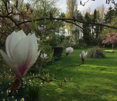 Souchez Casa | Le Domaine des Loups