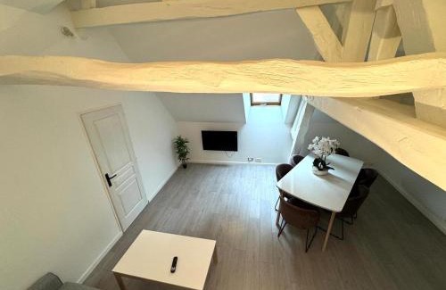 Villeneuve-sur-Yonne Apartamento | Le Duplex de Villeneuve
