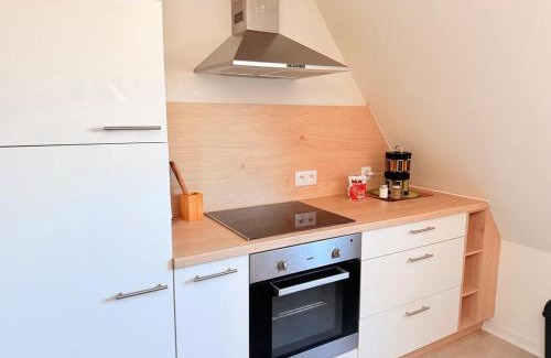 Haguenau Apartamento | Le Duplex des Tulipes - Parking included - Haguenau