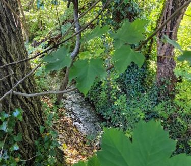 Nant Apartamento | Le frais ruisseau