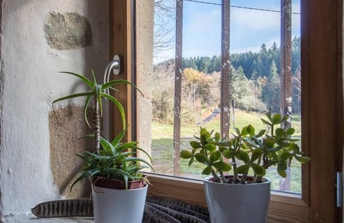Thiers Casa | Le Gîte des Trois Cousins