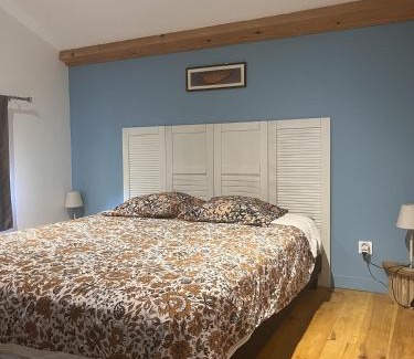 Sainte-Foy-Saint-Sulpice Casa | Le gite nature et spa