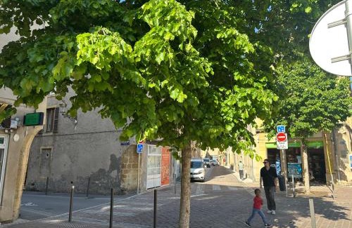 Metz-Centre – Ancienne Ville Apartamento | Le Graoully