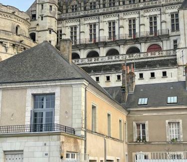 Amboise Apartamento | Le Grenier à Sel d'Amboise 5 pers PMR, parking privé, terrasse, maison historique