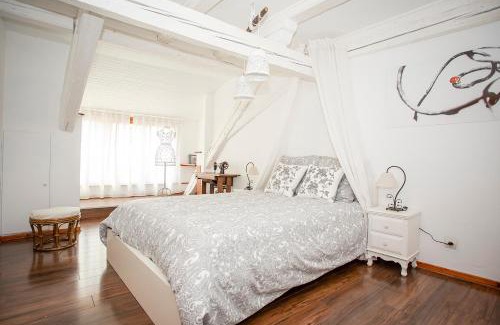 Kaysersberg-Vignoble Apartamento | Le Grenier du Photographe