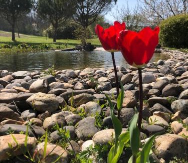 Saint-Leon Casa | Le Hameau des Coquelicots