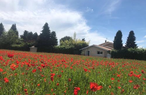 Saint-Georges-d'Esperanche Apartamento | Le Jacquéron