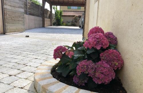 Trevoux Casa | Le jardin de félicie