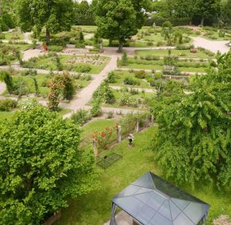 Saverne Apartamento | Le Jardin des Roses - parking gratuit dans la rue - gare à 500 m