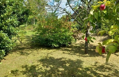 Saint-Omer Casa | Le Jardin Secret