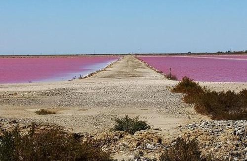 Salin-de-Giraud Casa | Le Lila Salins de Giraud Arles