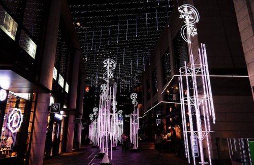 Akasaka Apartamento | Le Lys Asiatique Roppongi en Honey Moon