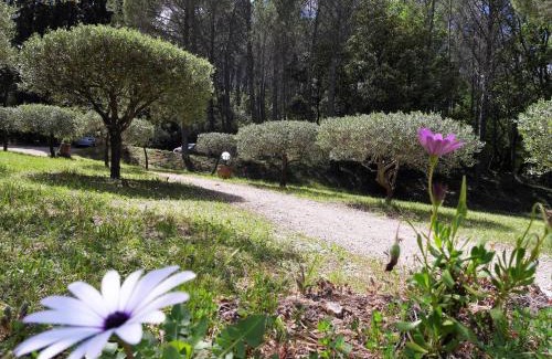 Salernes Cama Y Desayuno | Le Mas des Oliviers