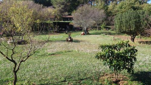 Aubagne Casa | le Mas du Pin Vert