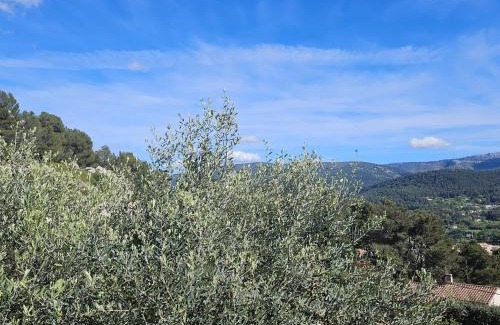 Auriol Apartamento | Le Micocoulier