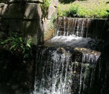 Saint-Georges-sur-Cher Cama Y Desayuno | Le moulin du Mesnil
