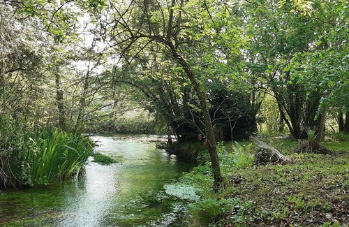 Quincay Apartamento | Le Moulin de Ringere, à 15 Minutes du Futuroscope, Calme en Bordure de Rivière