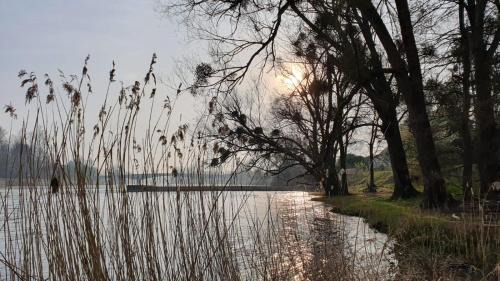 Saint-Georges-sur-Cher Cama Y Desayuno | Le Moulin Du Port