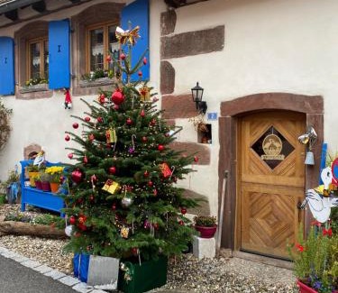 Hengwiller Casa | Le Nid de Cigognes