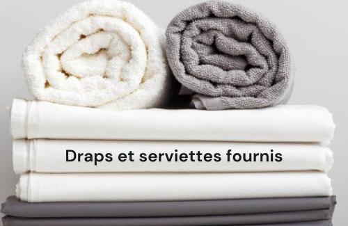Villefranche-sur-Saone Apartamento | Le Nid Urbain
