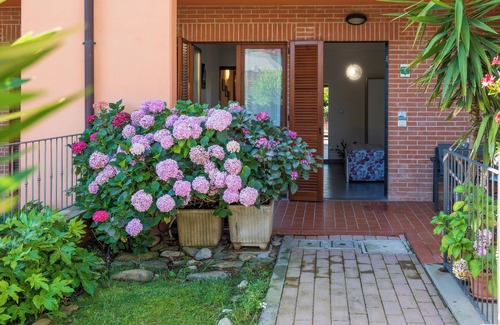 Arezzo Apartamento | LE ORTENSIE Independent mini-apartment outdoor space and small garden