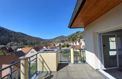 Kaysersberg-Vignoble Apartamento | Le panorama - Appartement meublé 5 pièces cuisine salle de bain