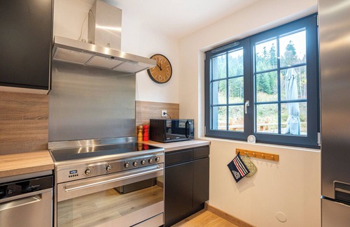 Ban-sur-Meurthe-Clefcy Apartamento | Le Perchoir 9 people, Grand Valtin, full nature