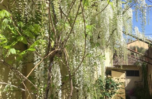 Brignoles Apartamento | Le petit 45 sous les platanes
