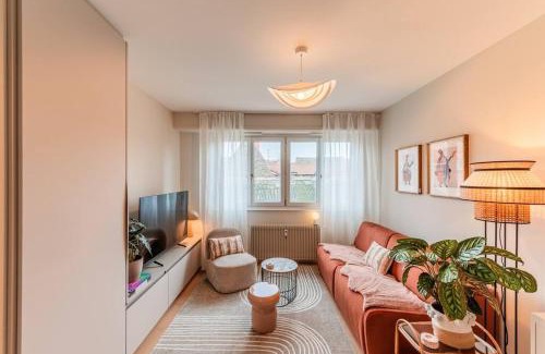 Krutenau Apartamento | Le Petit Batelier - Strasbourg - Vue cathédrale