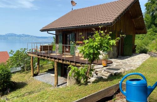 Meillerie Chalet De Esquí | Le petit chalet des Greys