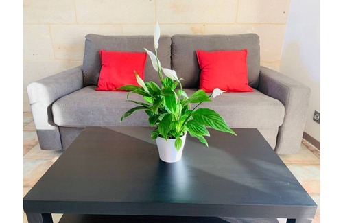 Chauray Apartamento | Le Petit Cozy Downtown - WiFI - Parking
