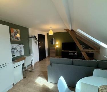 Saint Joseph/Mittelharth Apartamento | Le Petit Nid de Colmar - Parking privé