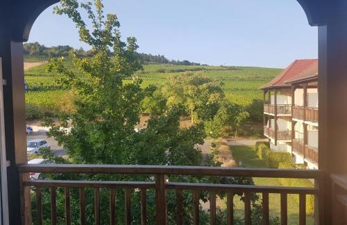 Bergheim Apartamento | Le Petit Nid
