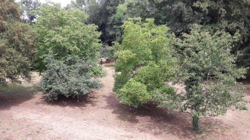 Ruaudin Cama Y Desayuno | Le petit plessis