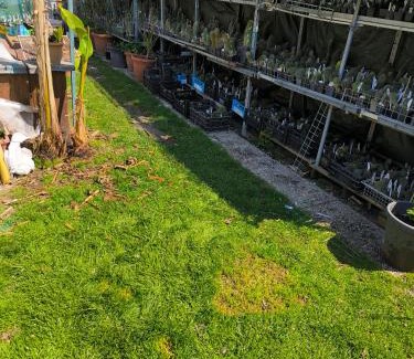 Molinetto Cama Y Desayuno | Le piante di casa SaMar