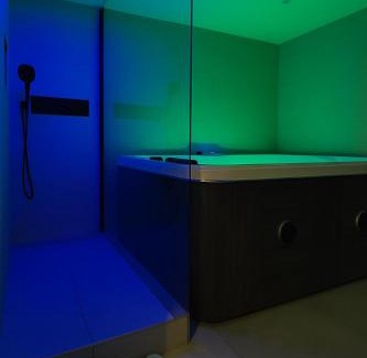 Cronenbourg Est Apartamento | Le Ptit Saint Florent - Studio Indépendant & Spa